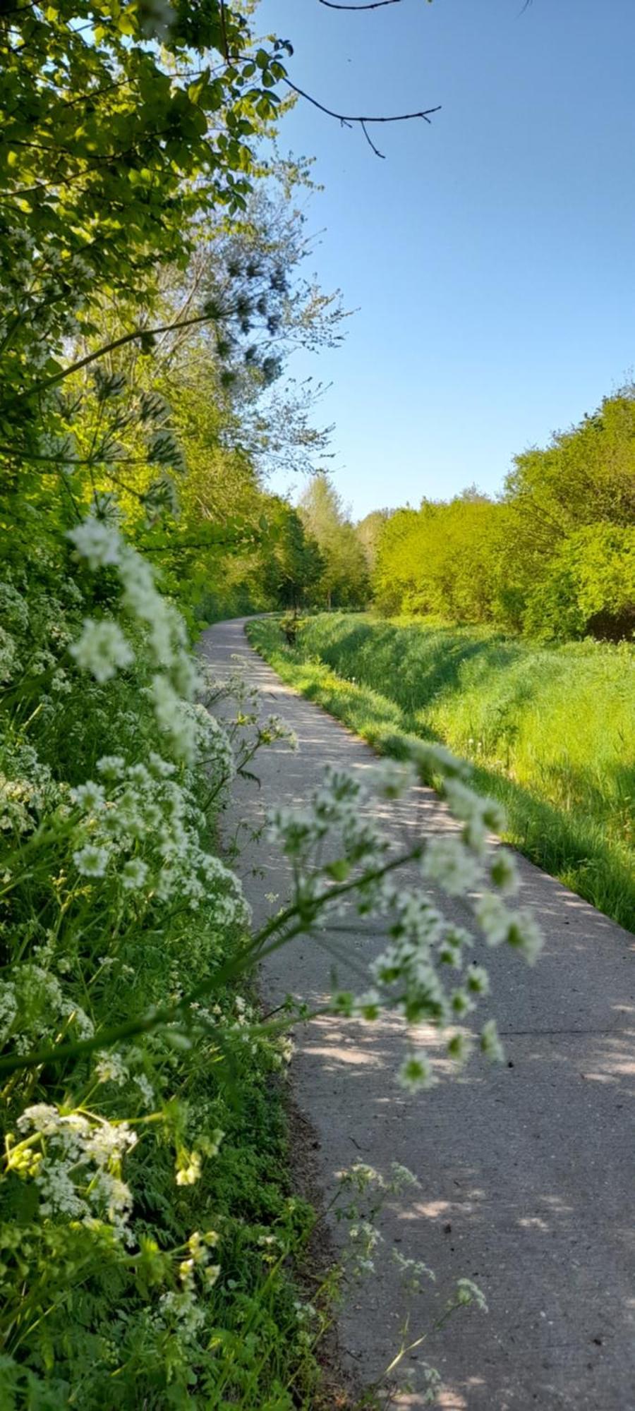 Vakantiepark Wulpdal Scherpenisse Esterno foto
