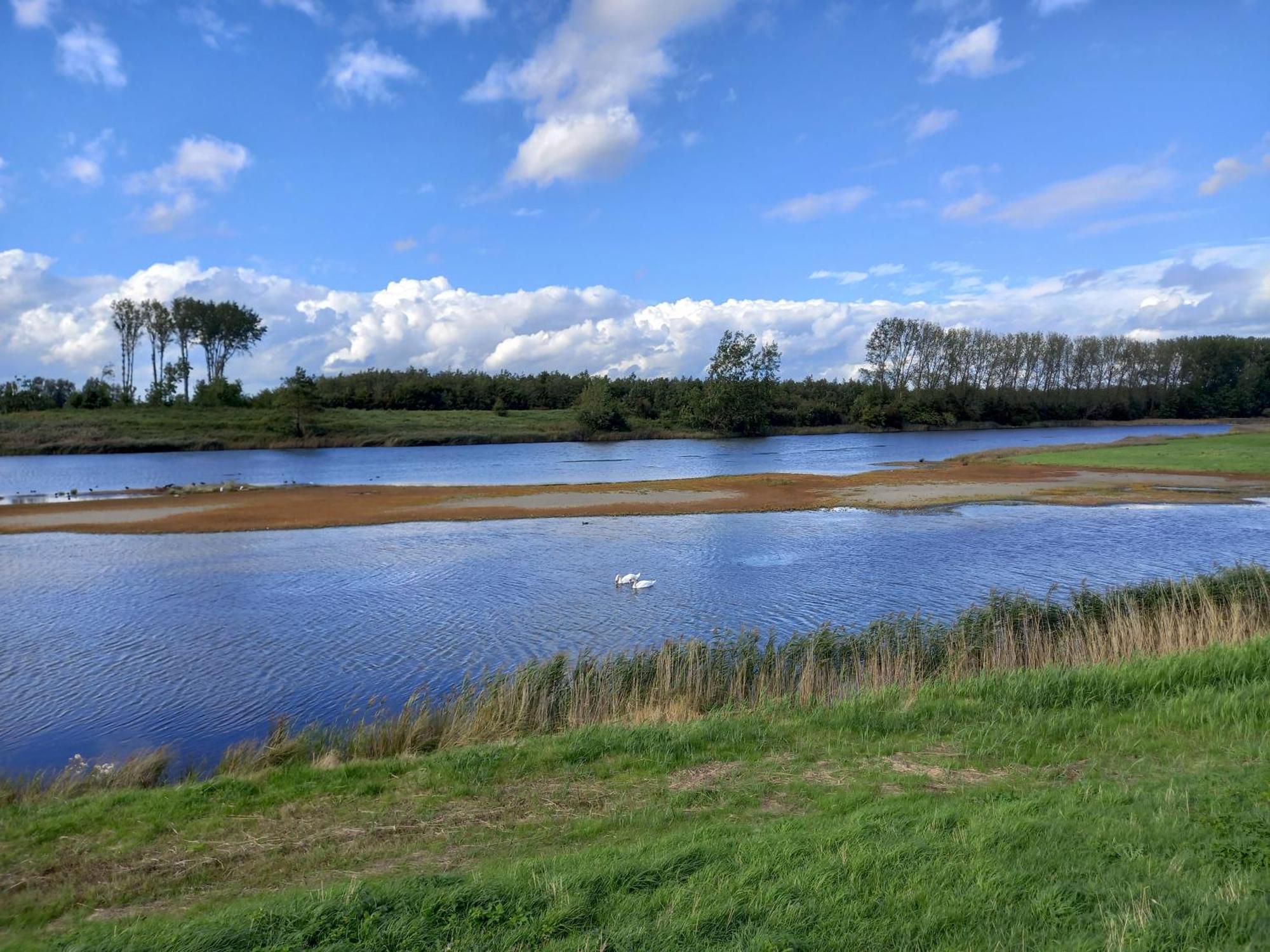 Vakantiepark Wulpdal Scherpenisse Esterno foto